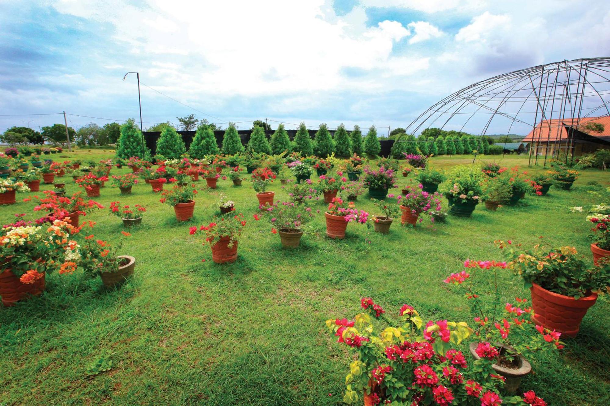Ceylonta Beach Resort And Spa Hambantota Ngoại thất bức ảnh